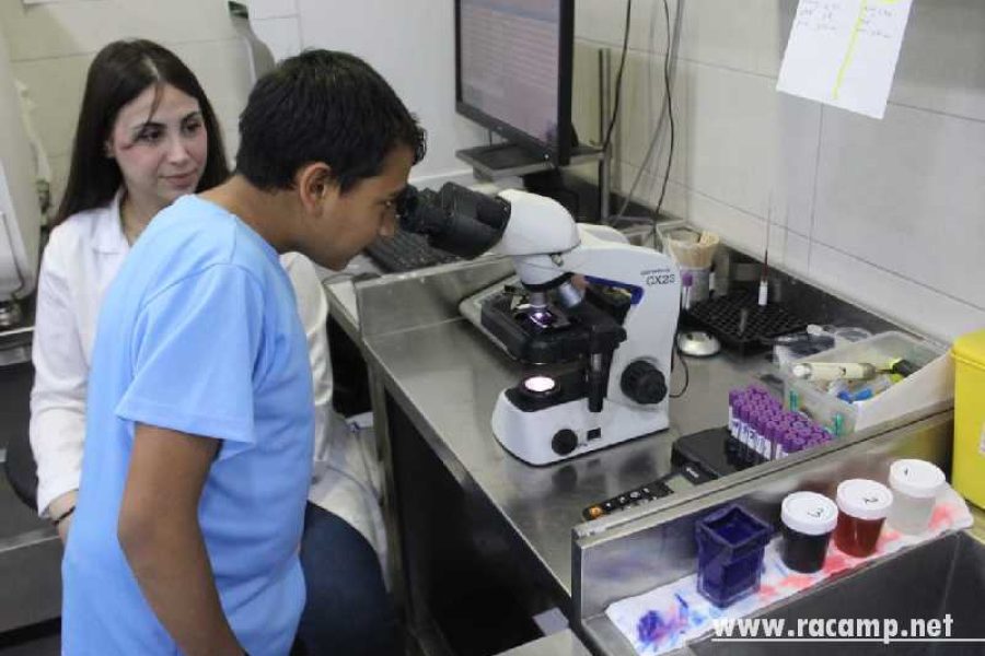 26389efd-1730-4e9e-9119-8469e50c2315