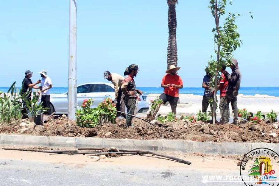 31c5674b-7e40-4881-9b1a-57a2a44b1ab9