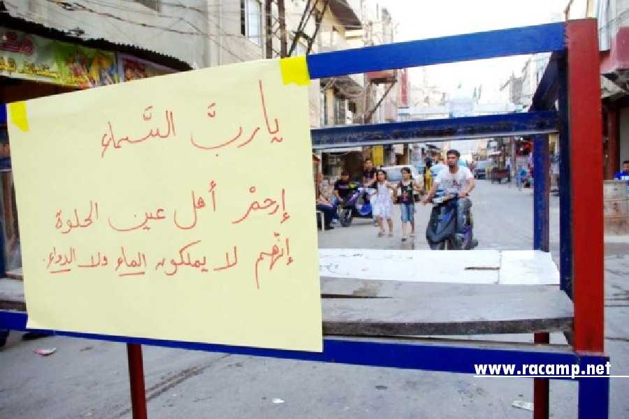 3242368_1769973038 (1)