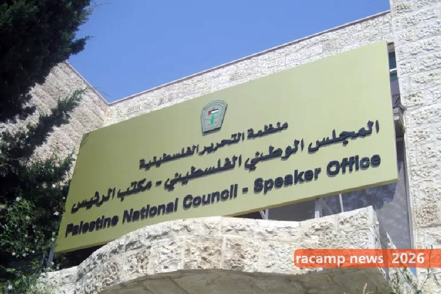 456فب-1755754692