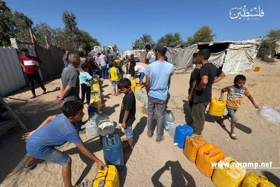 6035356884535020470-1