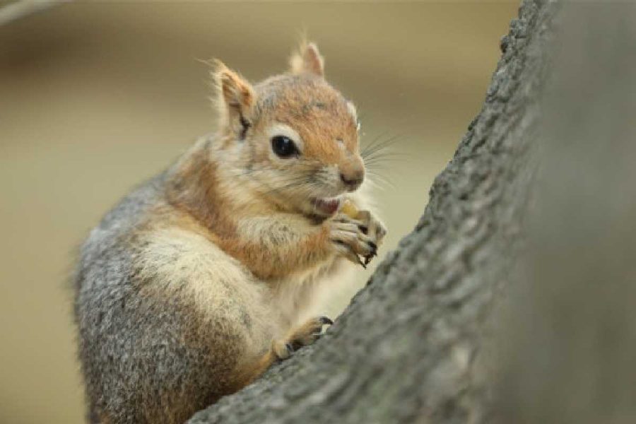 8160e514-fc51-4a7b-b69c-f8323602294d