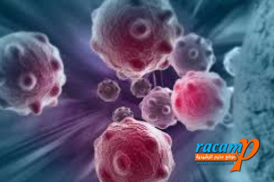 88cbddc8-7961-4f0f-aa88-c7f2eb435603