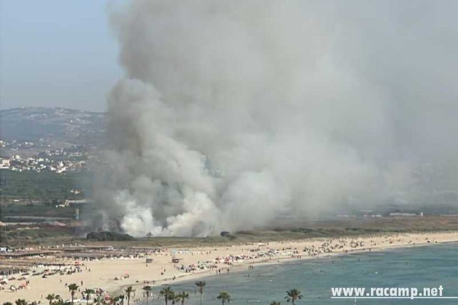 8e5bdcf4-838b-4a0f-8928-f6be40b637ec