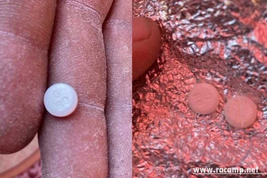 973a3ea2cc9bb9947b0685b8424c9845