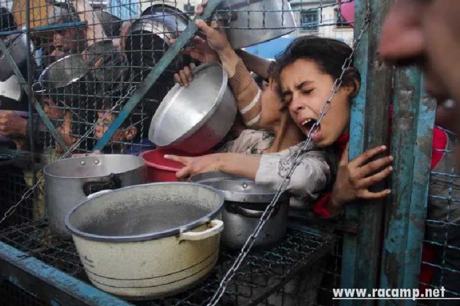 AP24127580273021-1719149062