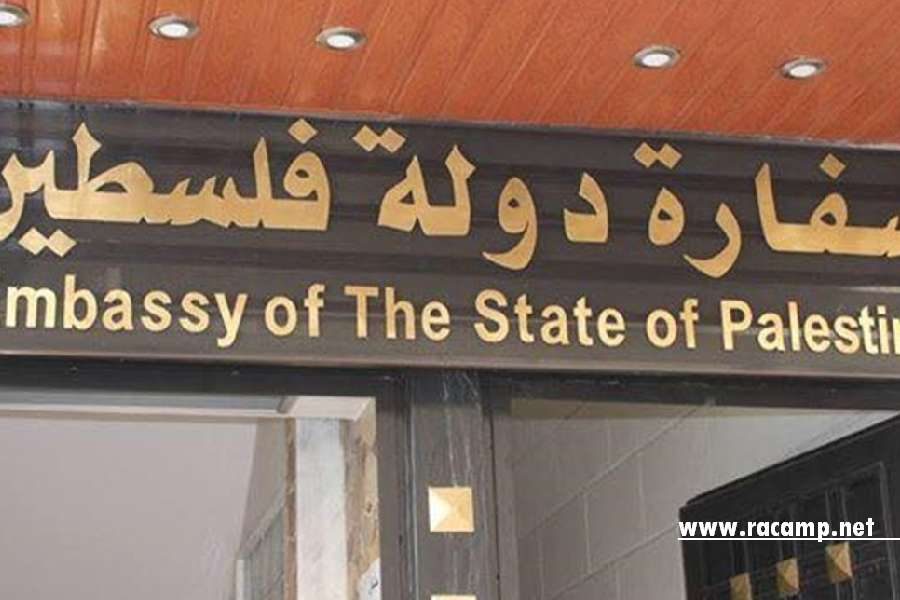 Doc-P-1390450-638879544254556894