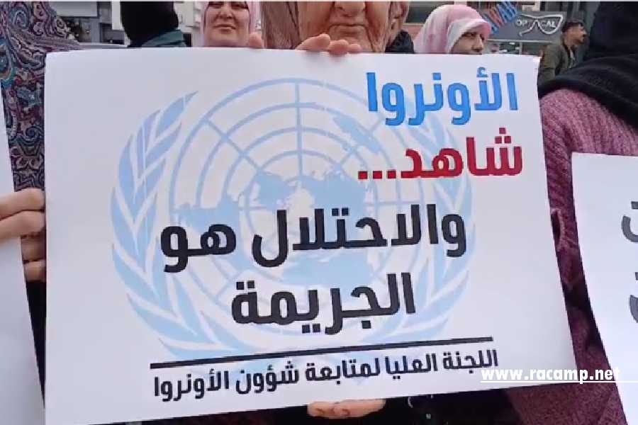 Screenshot-2026-01-30-121018-768x432