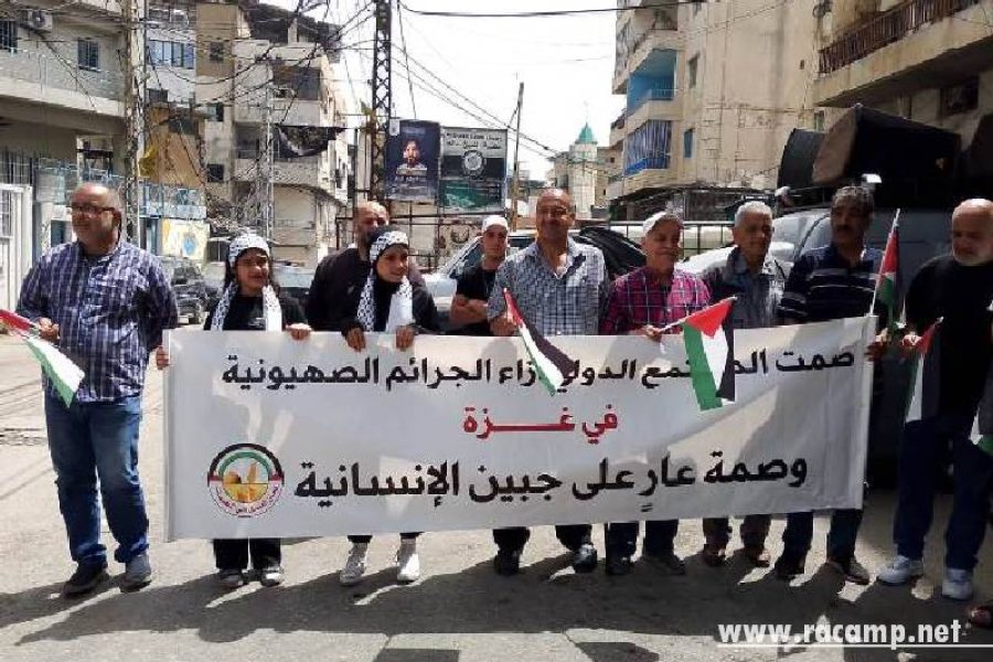 WhatsApp-Image-2025-05-17-at-2.40.11-PM-1