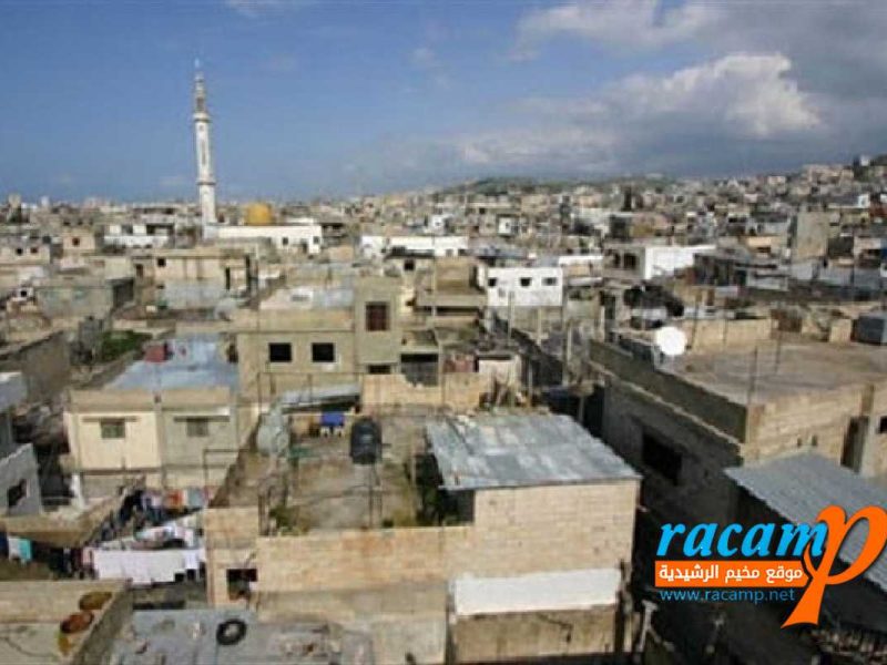 ain el helwe camp250315065931450~