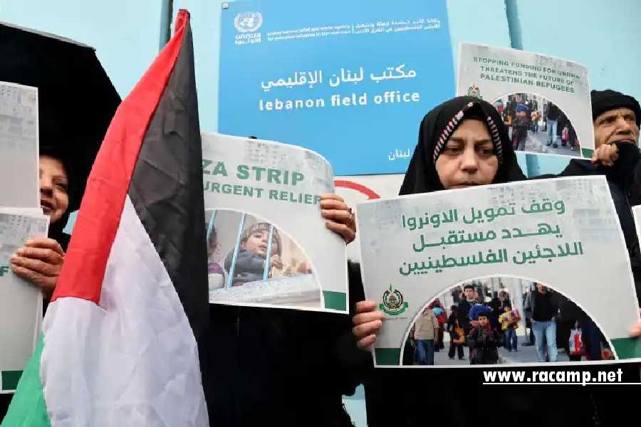 doc-34h88v6-1706626661