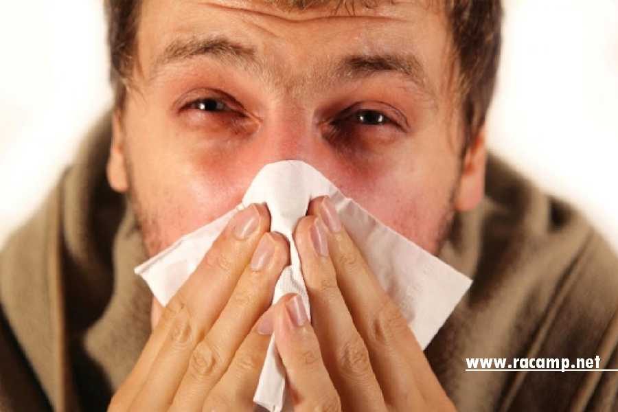 ec8286623f56d80a594c9720161fa192