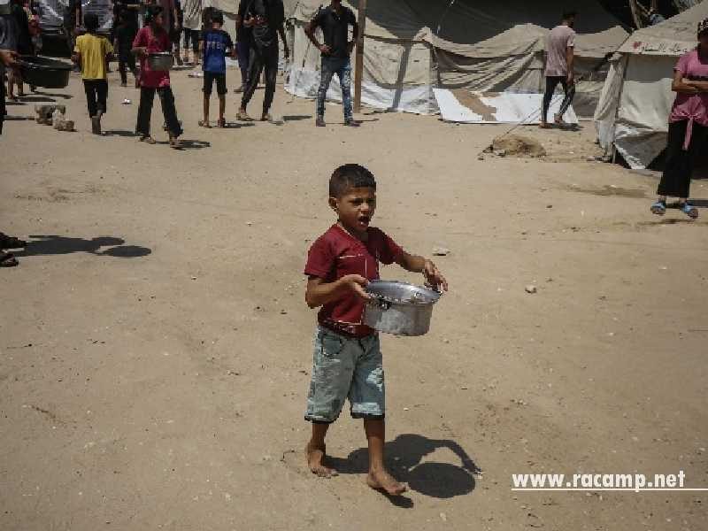 hunger12345