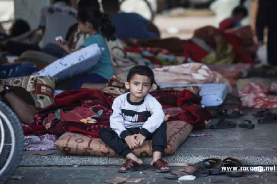 lvl220250427040607696