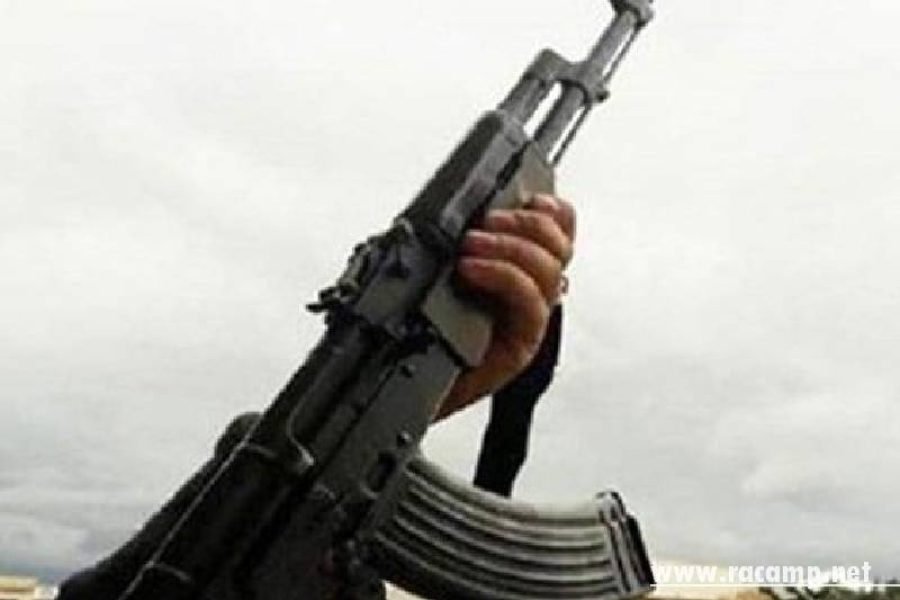 narr201231094204331~