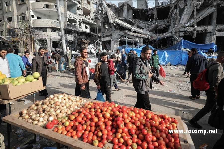 thumbs_b_c_dc67b434a15569001a233cf1b44b460a