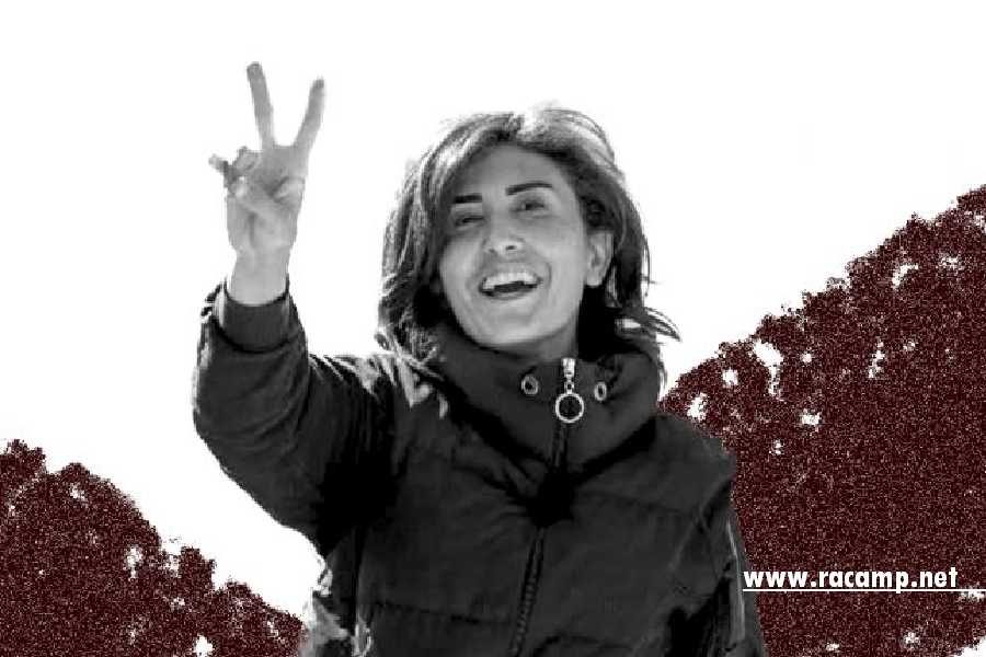 website-picture-13-1-750x430