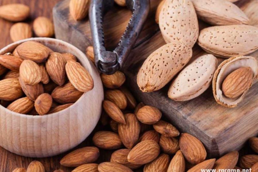 اللوز-في-المنام